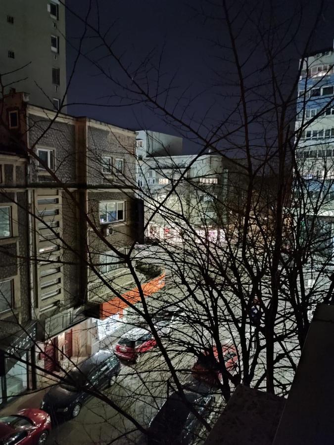Dorobanti Apartment ブカレスト エクステリア 写真